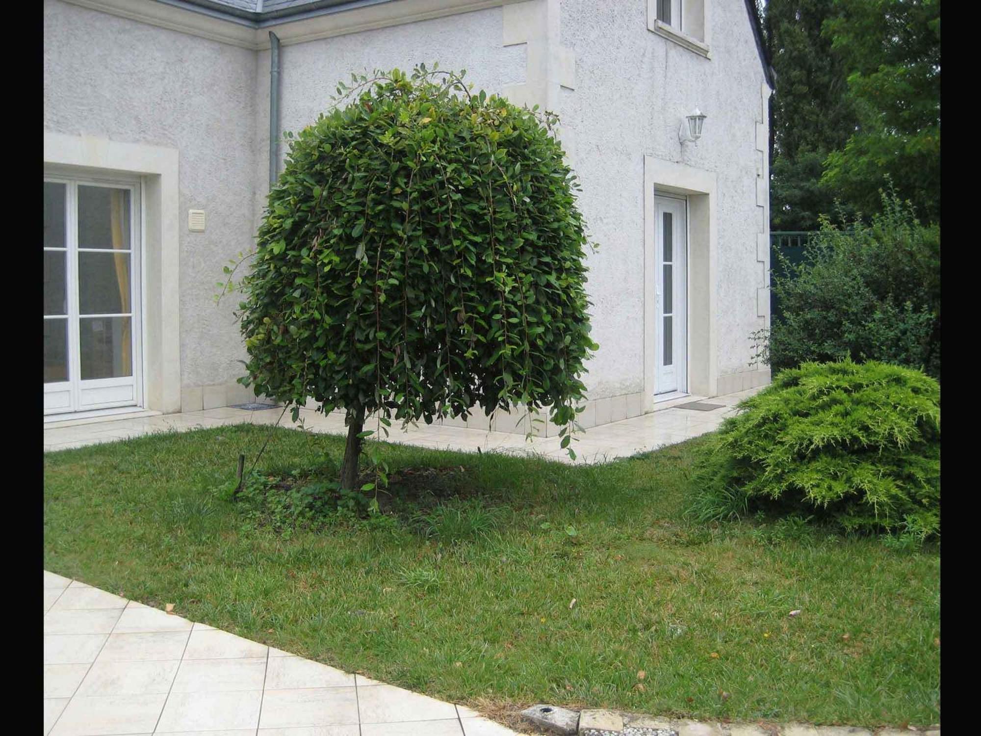 Apartmán Les Agapanthes La Riche Exteriér fotografie